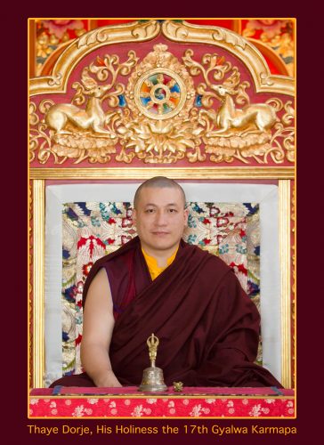 Official portrait of Thaye Dorje, His Holiness the 17th Gyalwa Karmapa. Photo / Thule Jug