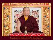 Thaye Dorje, His Holiness the 17th Gyalwa Karmapa