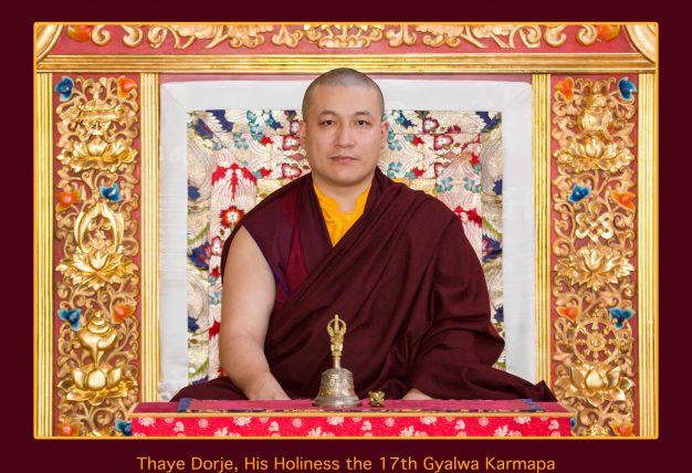 Official portrait of Thaye Dorje, His Holiness the 17th Gyalwa Karmapa. Photo / Thule Jug