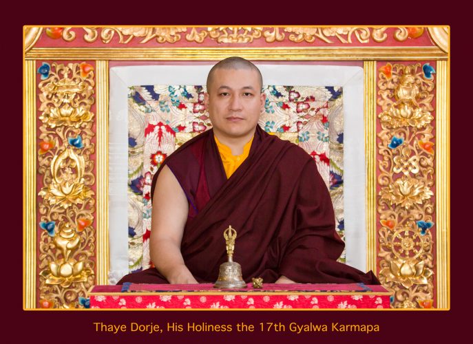 Official portrait of Thaye Dorje, His Holiness the 17th Gyalwa Karmapa. Photo / Thule Jug