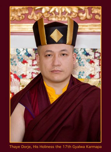 Official portrait of Thaye Dorje, His Holiness the 17th Gyalwa Karmapa. Photo / Thule Jug