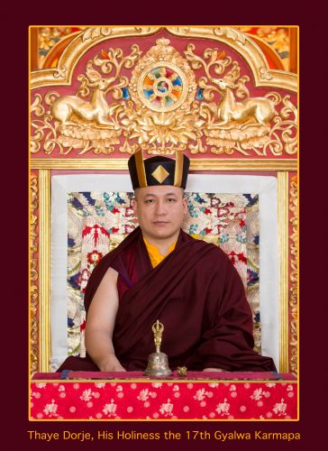 Official portrait of Thaye Dorje, His Holiness the 17th Gyalwa Karmapa. Photo / Thule Jug