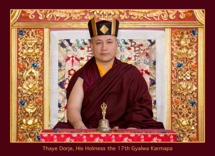 Official portrait of Thaye Dorje, His Holiness the 17th Gyalwa Karmapa. Photo / Thule Jug