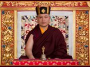 Thaye Dorje, His Holiness the 17th Gyalwa Karmapa