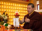 Thaye Dorje, His Holiness the 17th Gyalwa Karmapa