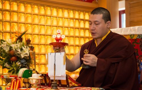Thaye Dorje, His Holiness the 17th Gyalwa Karmapa