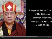 Prayer for the swift rebirth of Shamar Rinpoche video